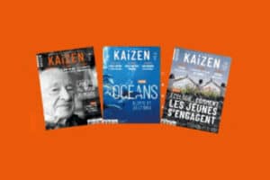 Kaizen Magazine site