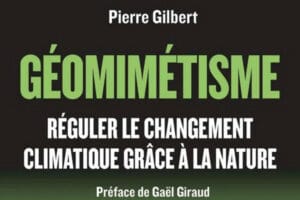 Géomimétisme