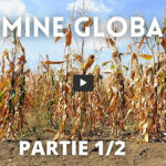 Famine globale - partie 1