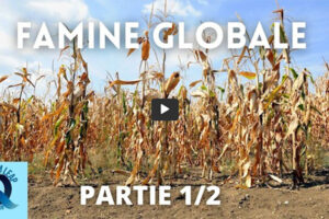 Famine globale - partie 1