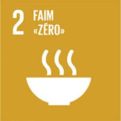 Agenda 2030 - ODD 2