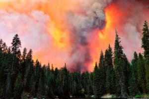 Incendie Pyrocumulonimbus