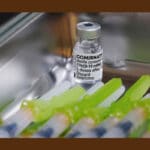 Pfizer autorisé par la FDA l'US army obligée à la vaccination