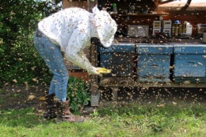 méthode sauver abeilles