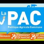 PAC europe