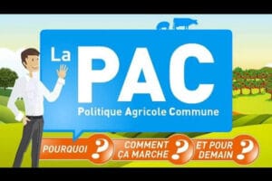 PAC europe