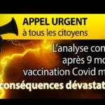 Vaccination conséquaences dévastatrices