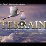 terrain le film