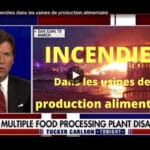 Incendies usines alimentaires