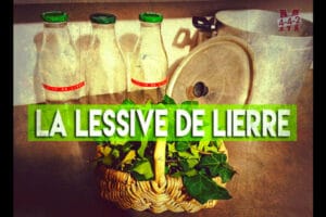 Lessive lierre