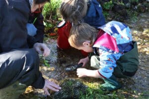 Eure - école alternative nature