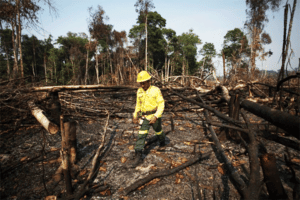 déforestation Amazonie