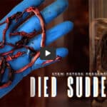 Died suddenly - trailer