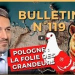 Stratpol : bulletin n°119