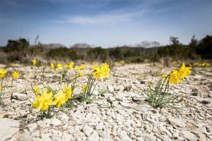 la garrigue super-héroïne