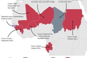 Le rejet de la France en Afrique francophone