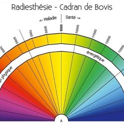 L’habitat sain aujourd’hui