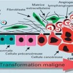 génocide vaxxination Covid