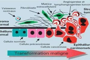 genocidio vaxsinazione Covid