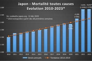 surmortalité au japon