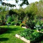 la nature nous veut du bien