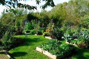 la nature nous veut du bien